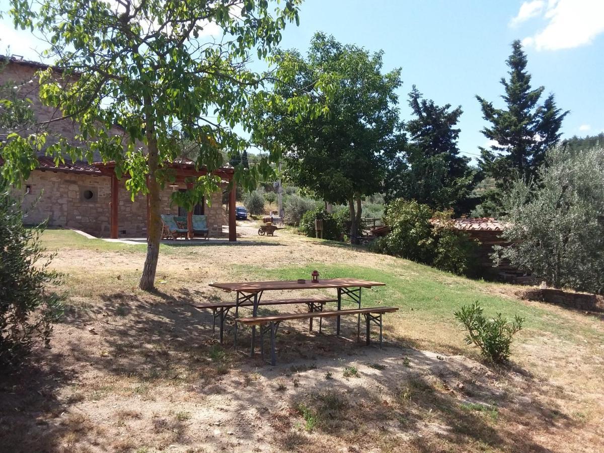 Hotel Agriturismo Podere Somigli Di Lorenzo Correani Greve in Chianti Exterior foto