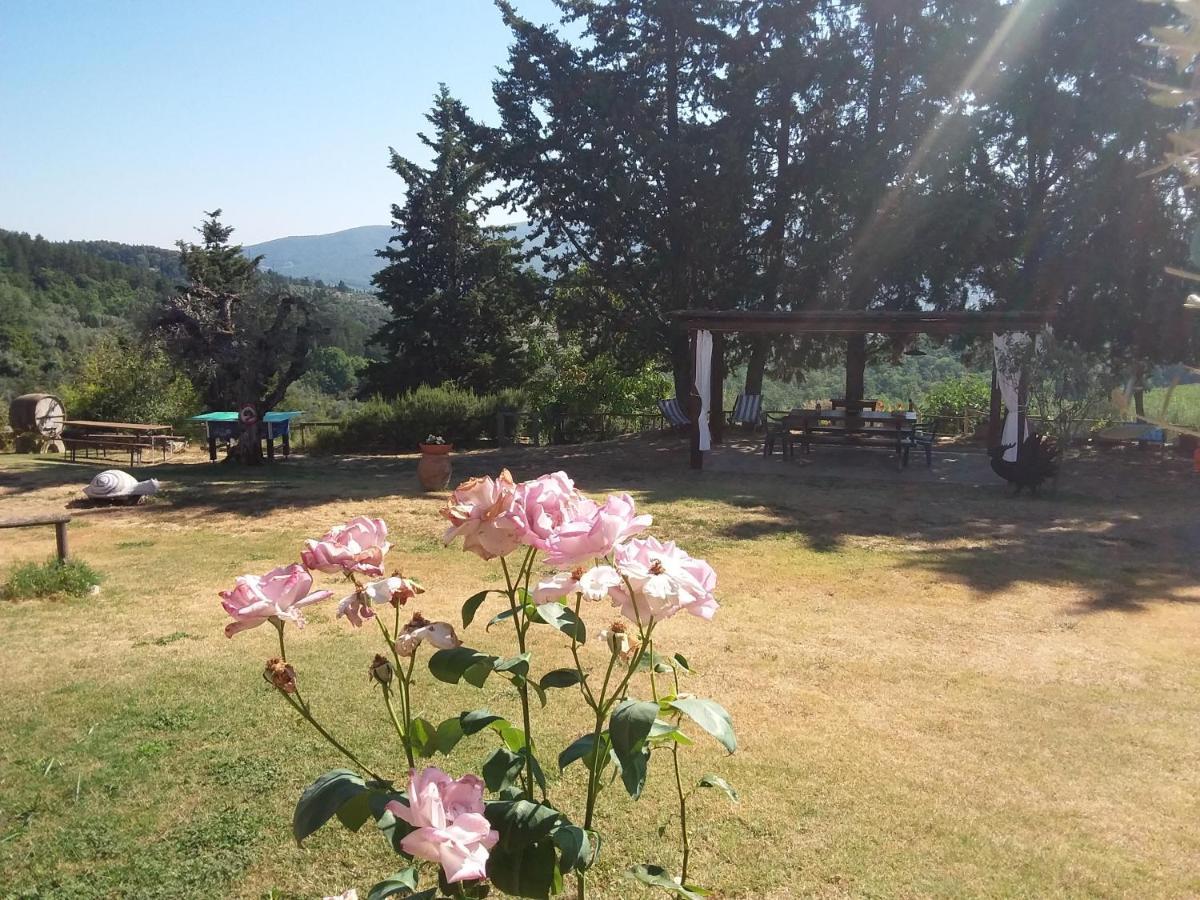 Hotel Agriturismo Podere Somigli Di Lorenzo Correani Greve in Chianti Exterior foto